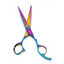 Metallic Amigo Shears 5 1/2"